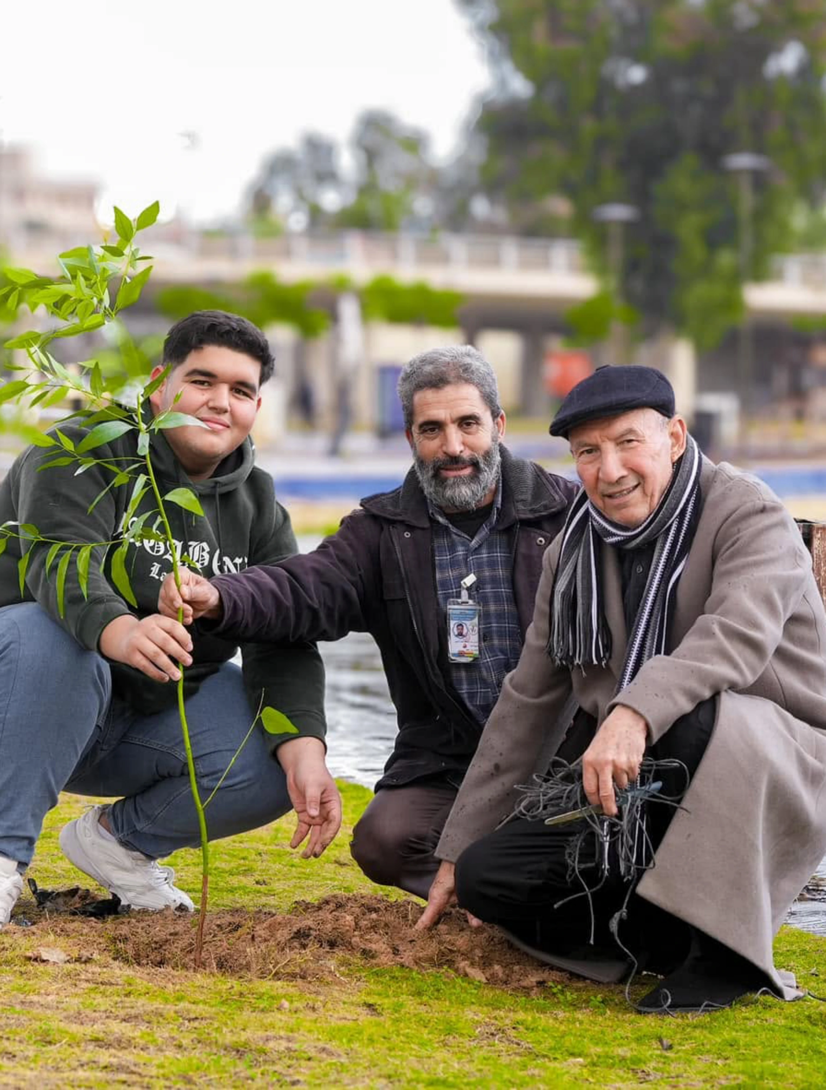 Community tree planting initiative